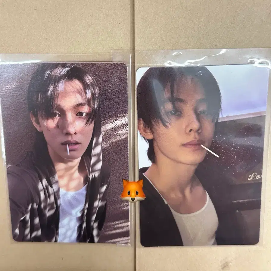 코르티스 성현 위버스 앨범 포카 2장