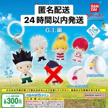 HUNTER x HUNTER 메지루시 액세서리 세미 컴플리트 4종 세트