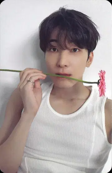 SEVENTEEN 17 IS RIGHT HERE 원우 트레이딩 카드 DEAR