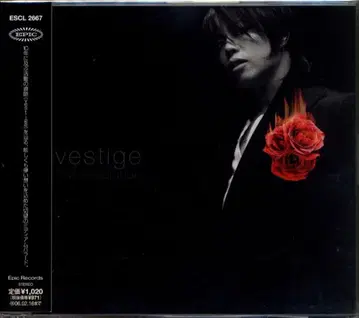 애니메이션 CD T.MReovolution vestige/기동전사 건담 SEED DESTINY