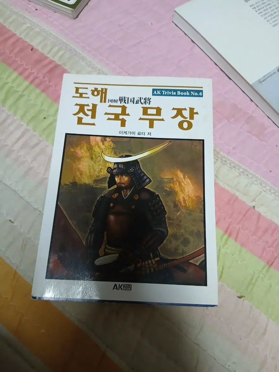 AK Trivia Book 전국무장 도해