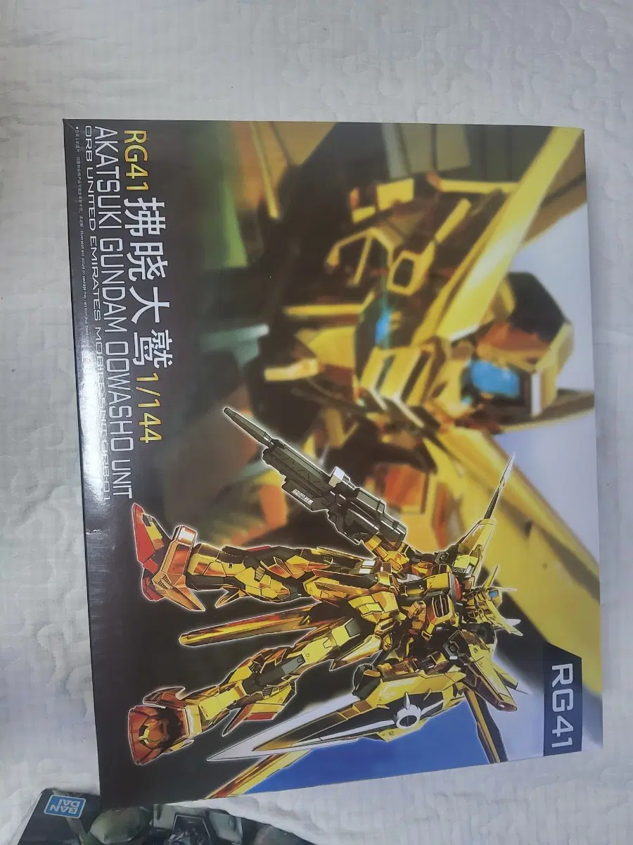 rg 아카츠키 클럽 c