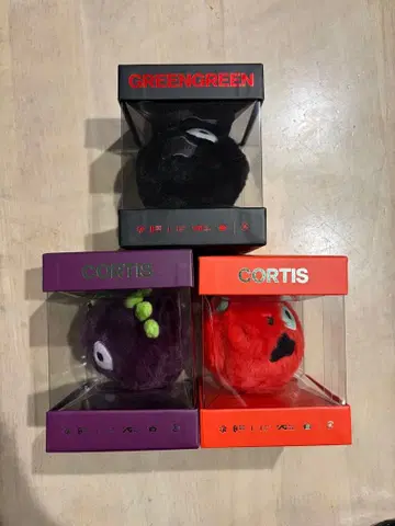 CORTIS ball ver. 트레이딩 카드 외 3종 세트