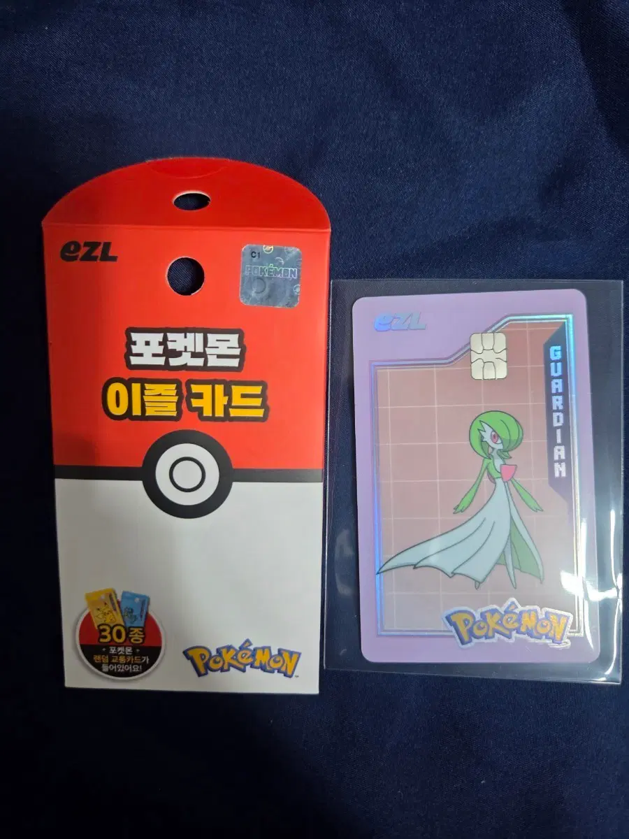 포켓몬 이즐 교통카드 가디안