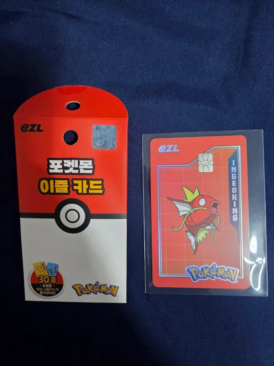 포켓몬 이즐 교통카드 잉어킹