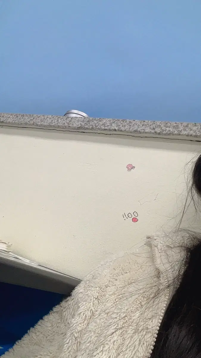 급처해용가리님 결제창 폰