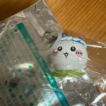 치이카와 하치와레 입장객 특전