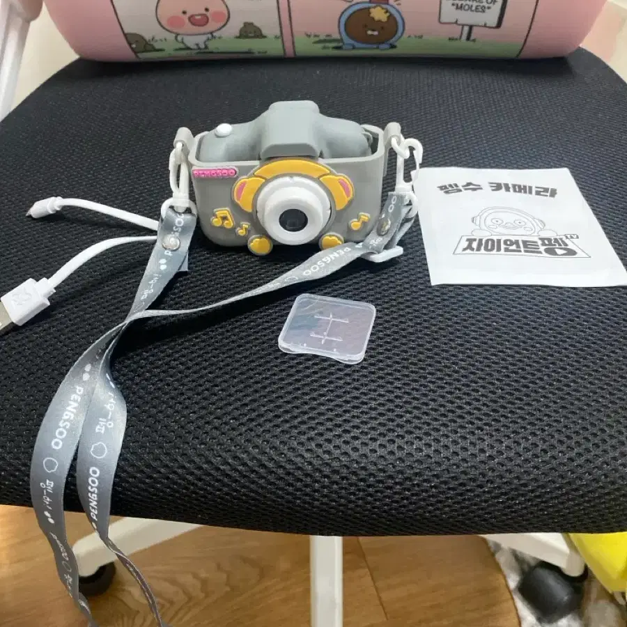펭수 카메라 그레이