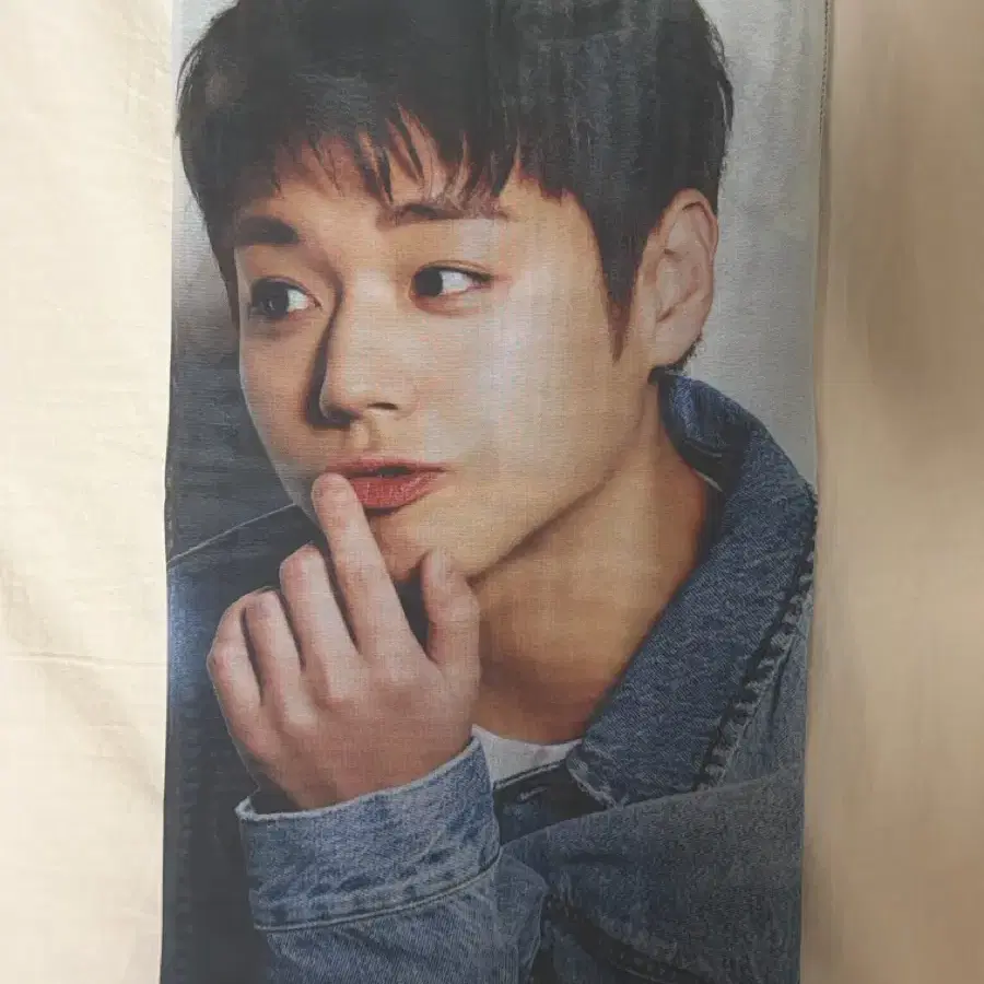 기영이 숯불 치킨 박지훈 패브릭 포스터 청청