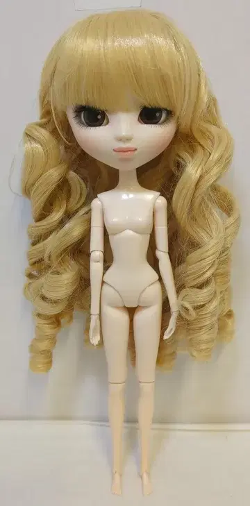 그루브 풀립 보니