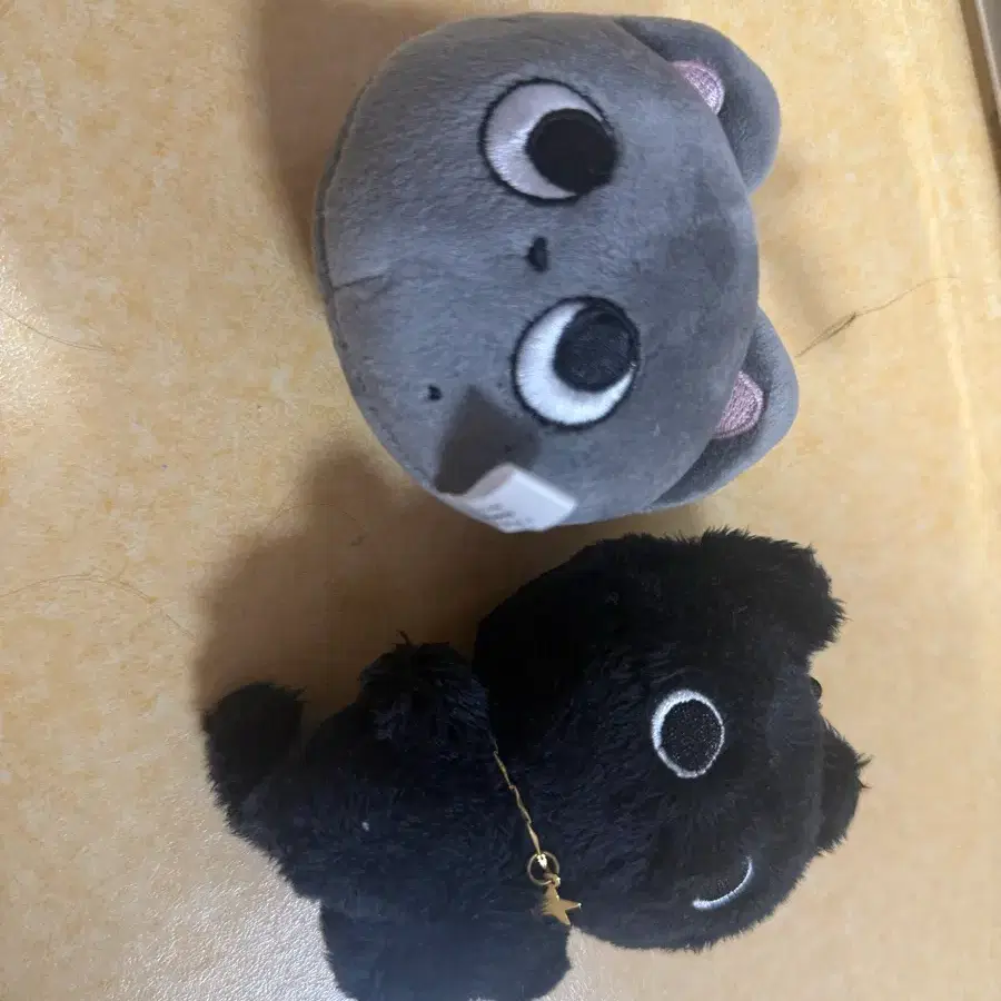 라이즈 원빈 인형 깜소 삐니캣 스트레스볼 토냥덕