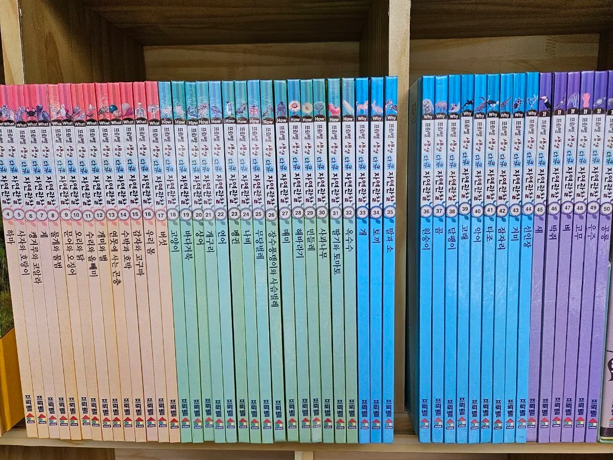 생생 다큐 자연관찰: 책50권 + DVD 8장 + 오디오CD 2장. 깨끗한 A급