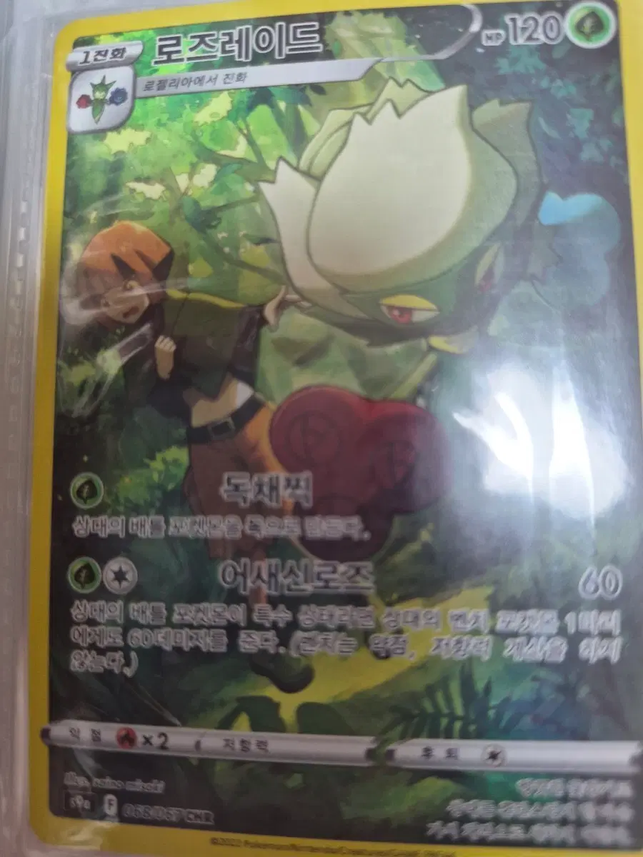포켓몬카드 로즈레이드 120 HP