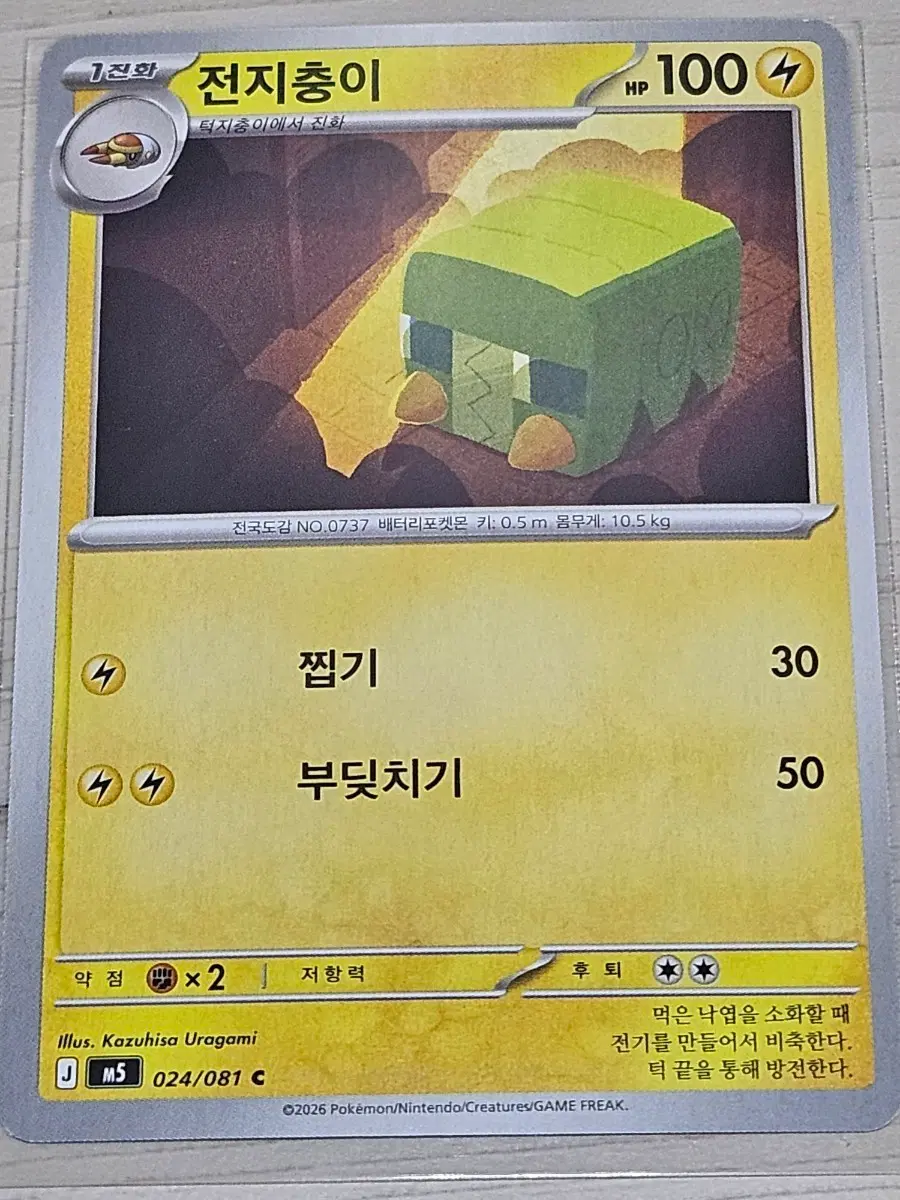 [최저가] 포켓몬 카드 전지충이 024/081 C