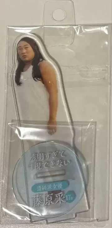 로버트 아키야마 크리에이터즈 파일 후지와라 사이 아크릴 스탠드
