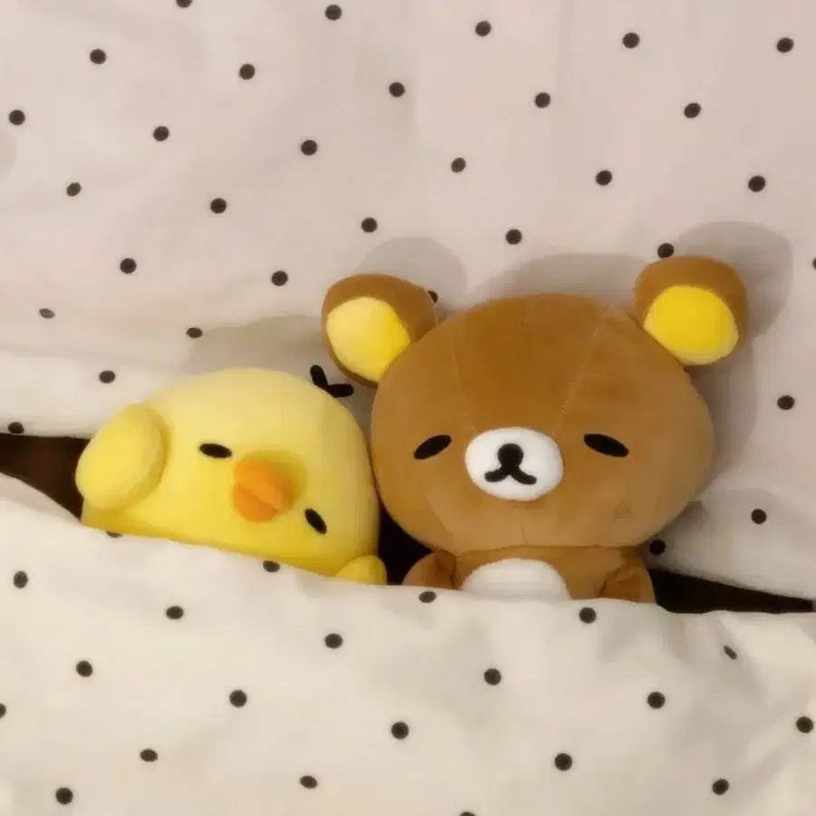 모디세이 앨범 전용링크