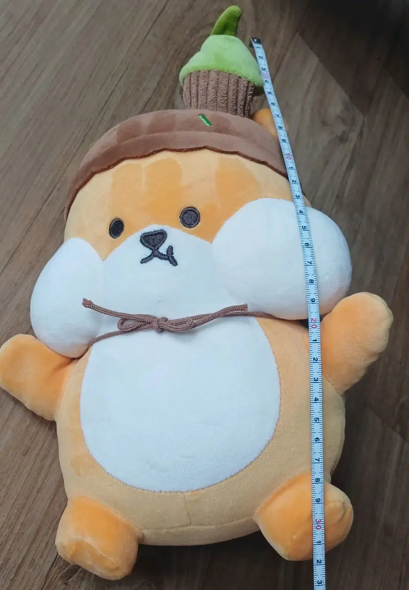 토실토실 볼빵빵 다람쥐 인형 아이스크림 모자