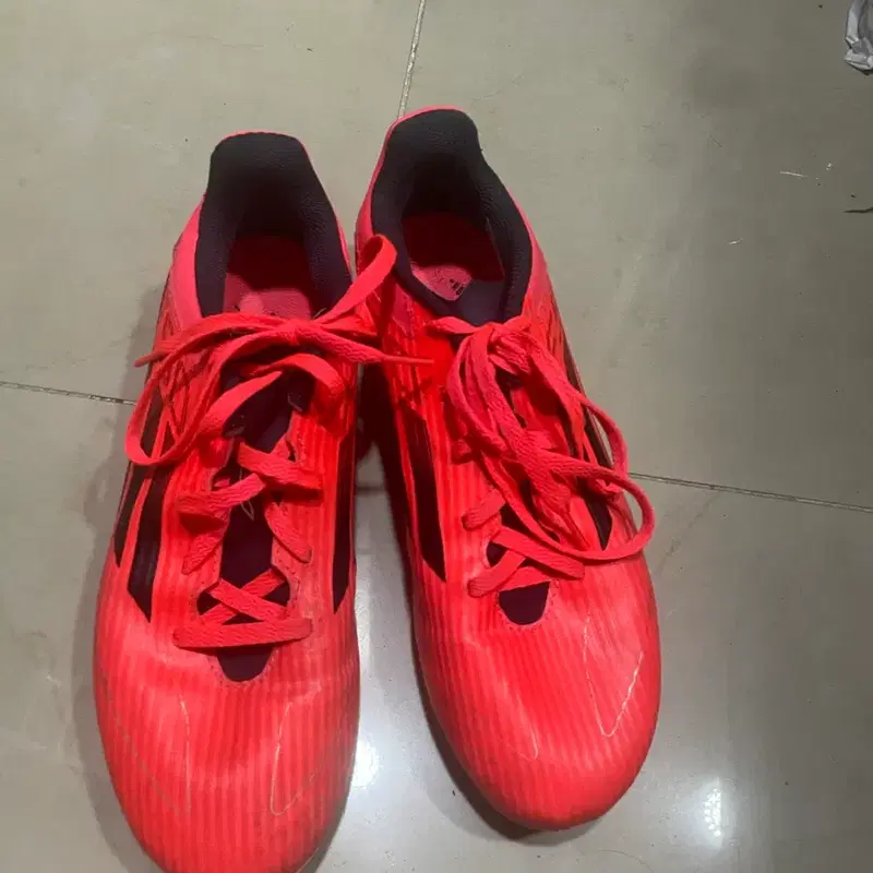 아디다스 F50 FG축구화 255
