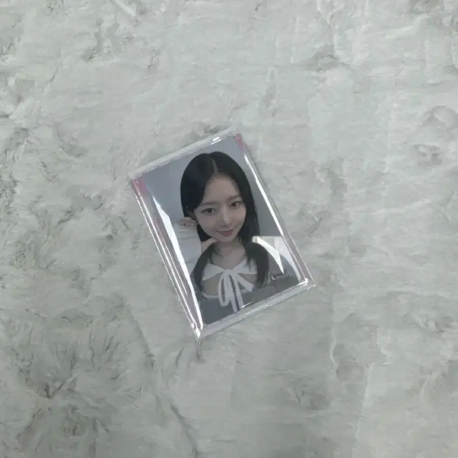 아이브 레이 파파존스