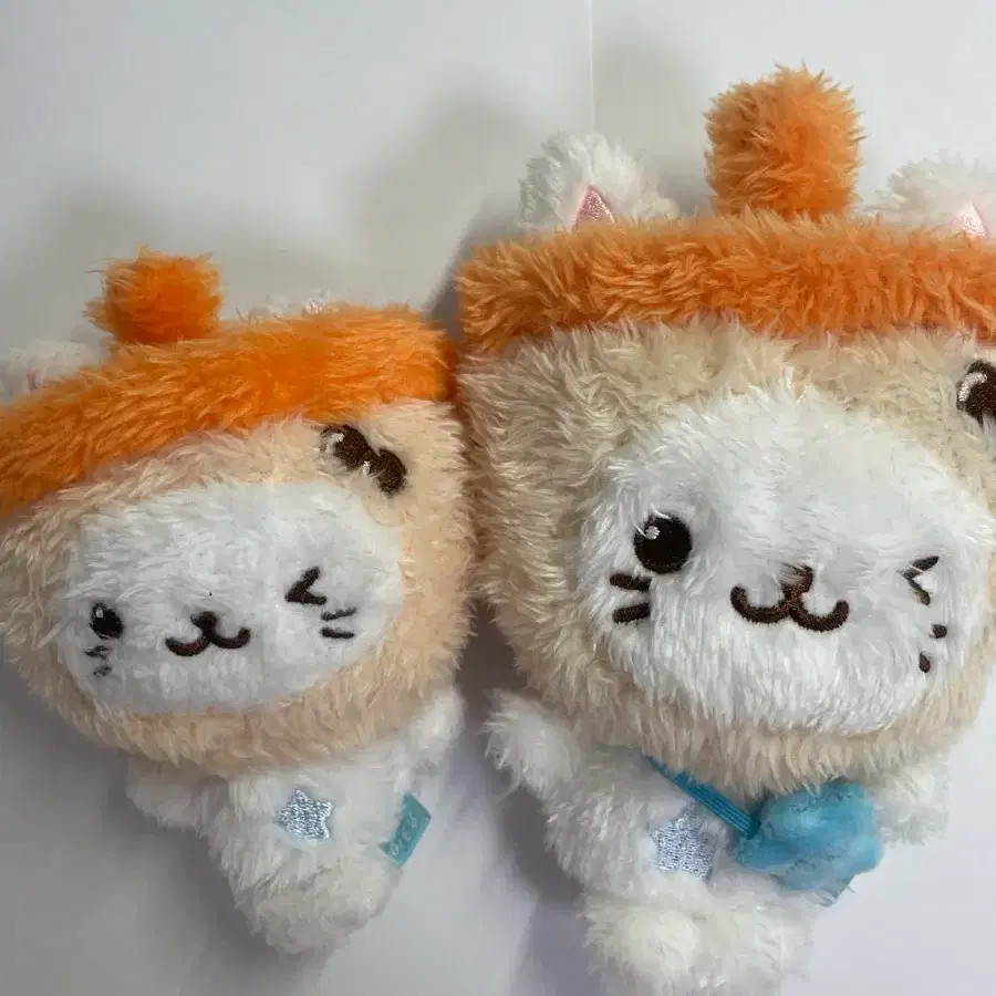 포켓버블냥,버블냥 일괄판매