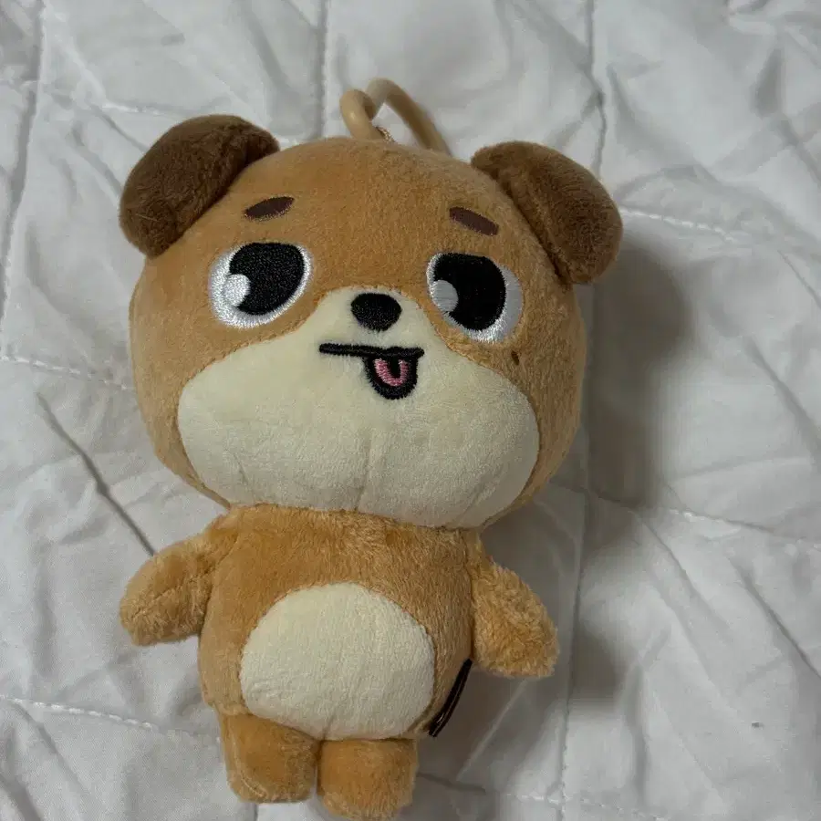 데이식스 데니멀즈 메롱돈