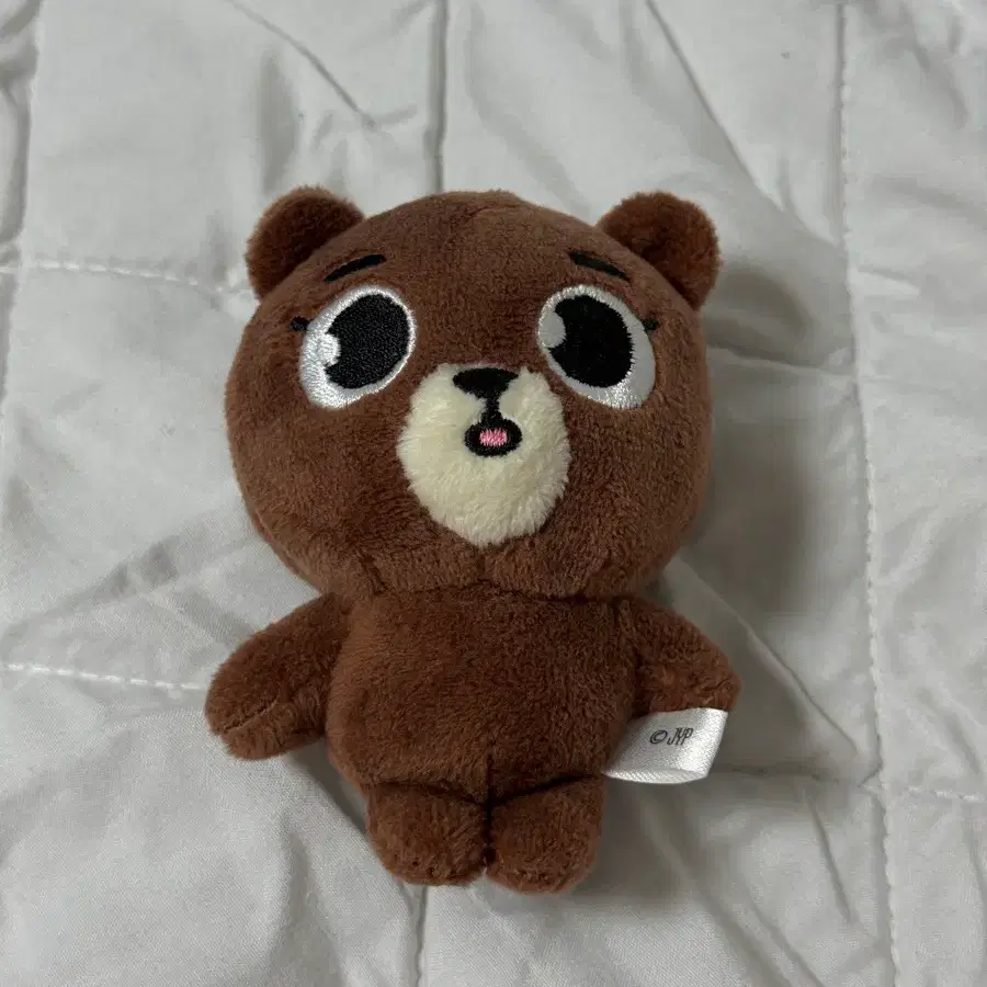데이식스 일본 데니멀즈 방