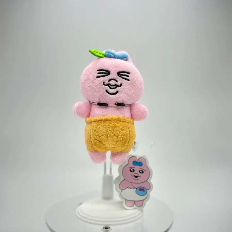 빤쮸토끼(오판츄우사기) 봉제키링 귤