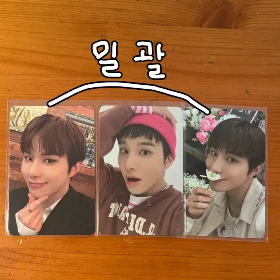 도재정&nct127 정우 포카 일괄(급처)