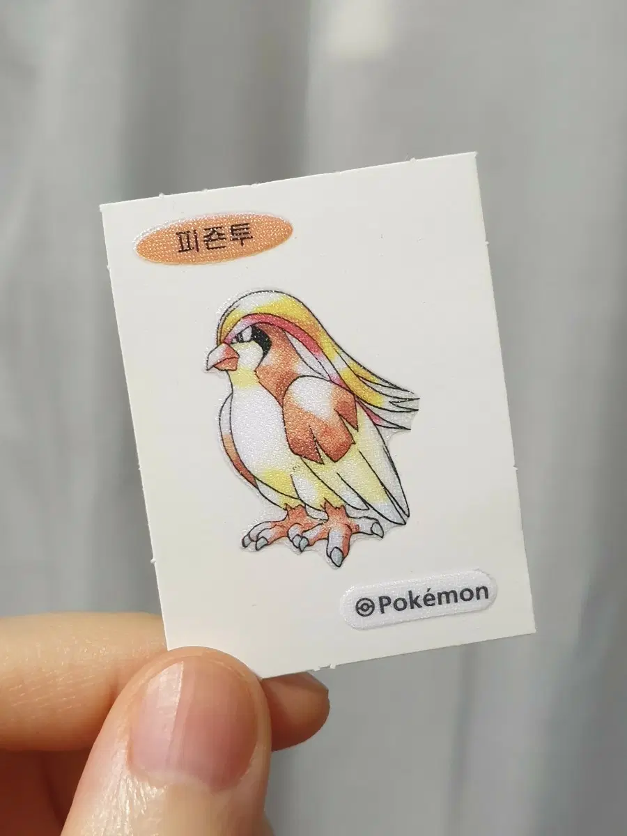 * 30주년 포켓몬스터 피죤투 포켓몬빵 띠부띠부씰 관동지방 1세대