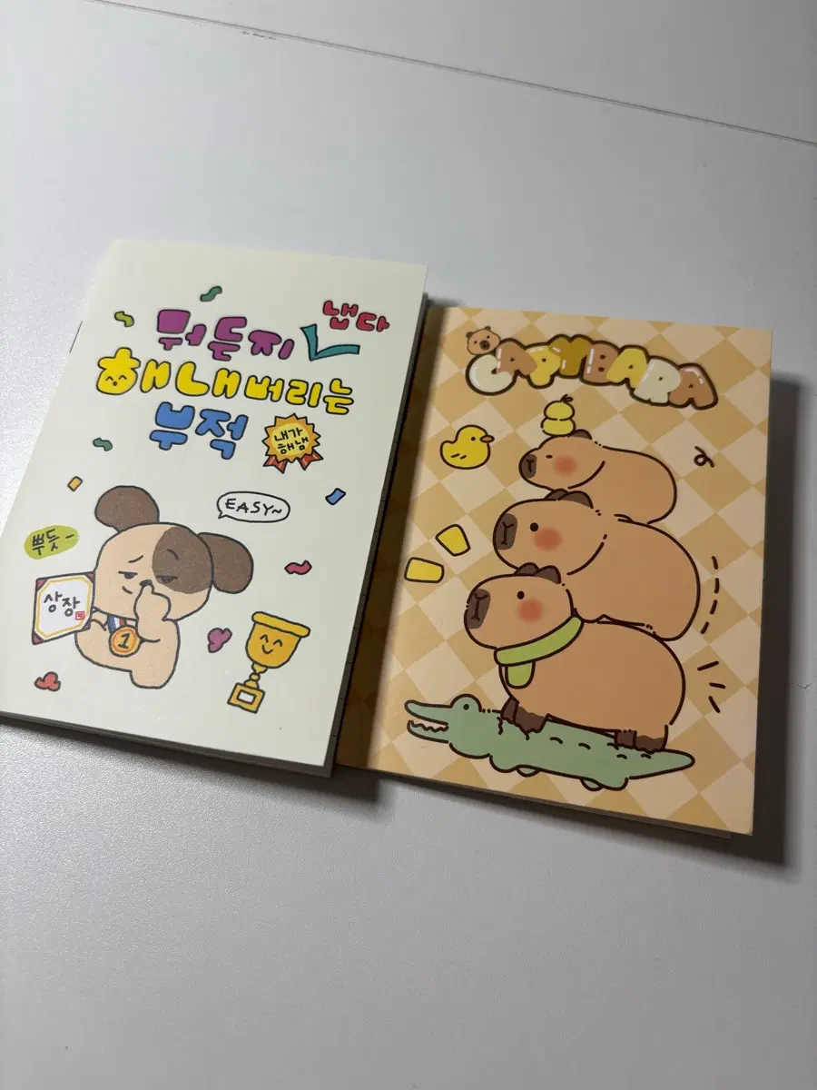 미니 노트 일괄
