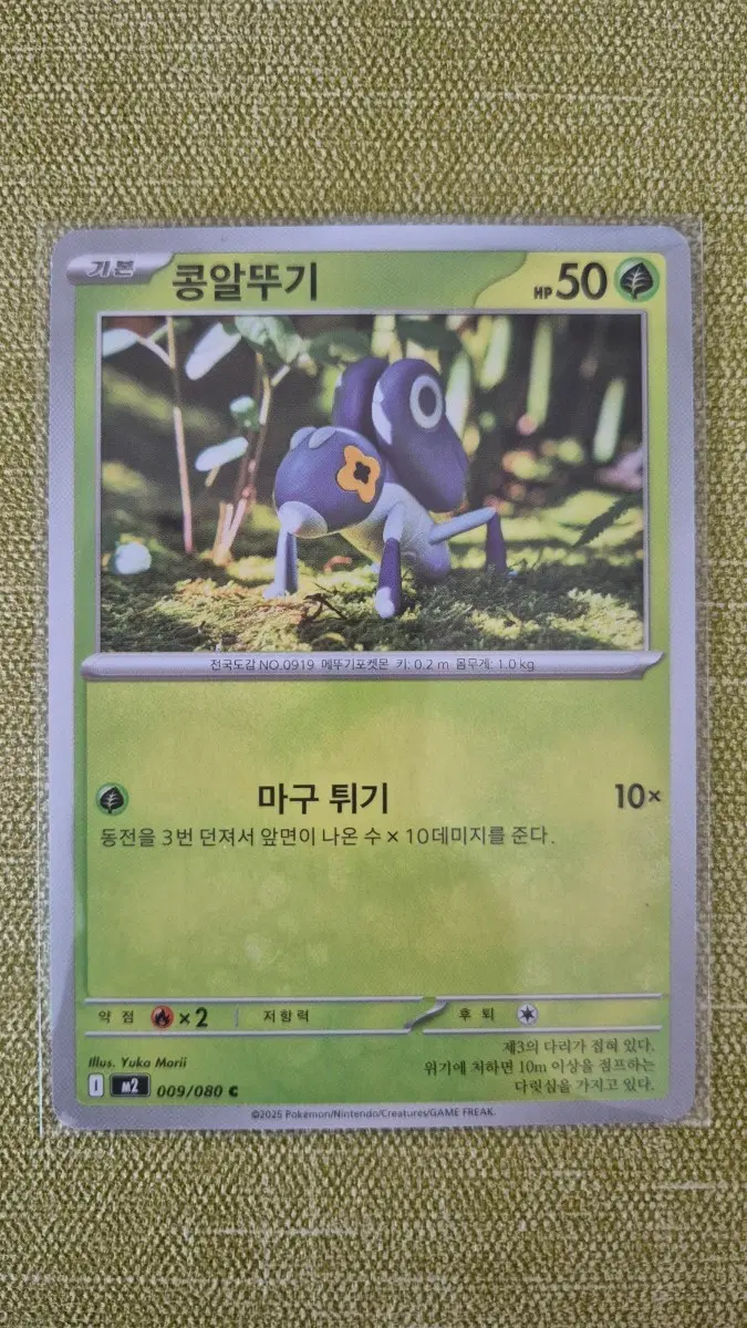 [포켓몬 한판] 콩알뚜기