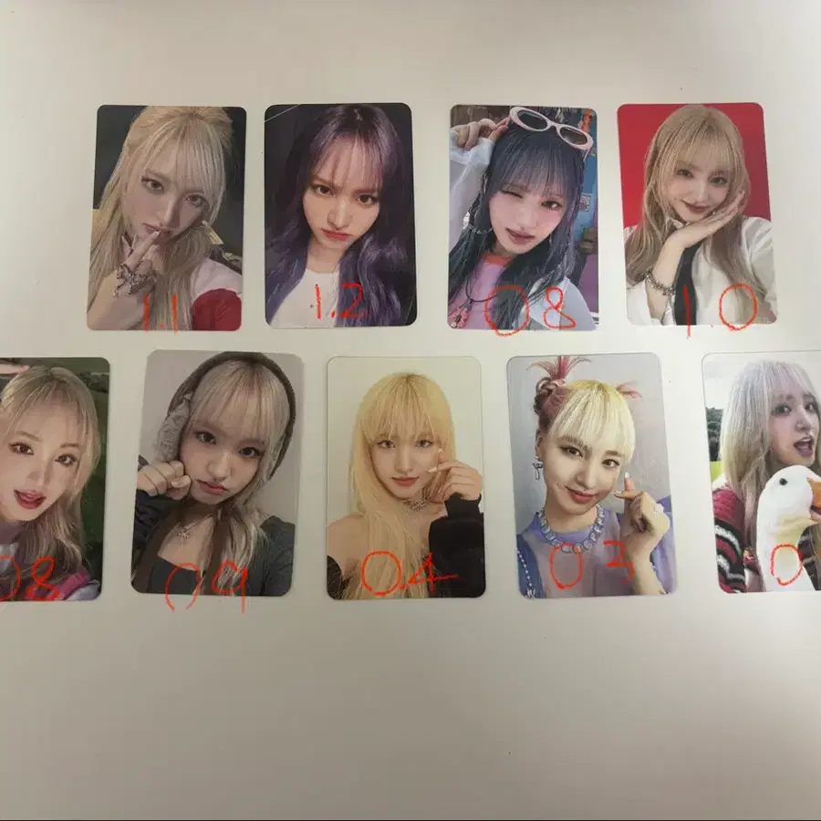 리즈 포카