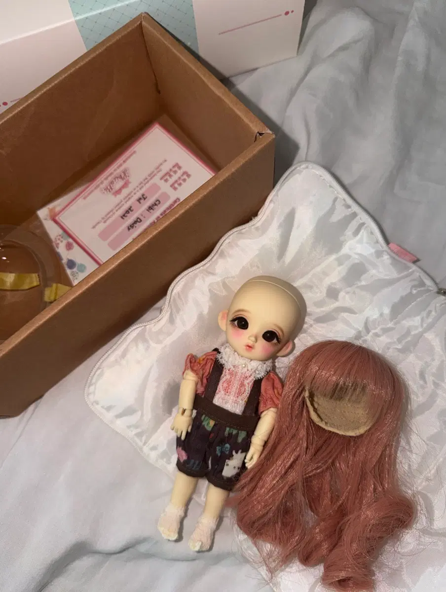 치카비 데이지 포켓