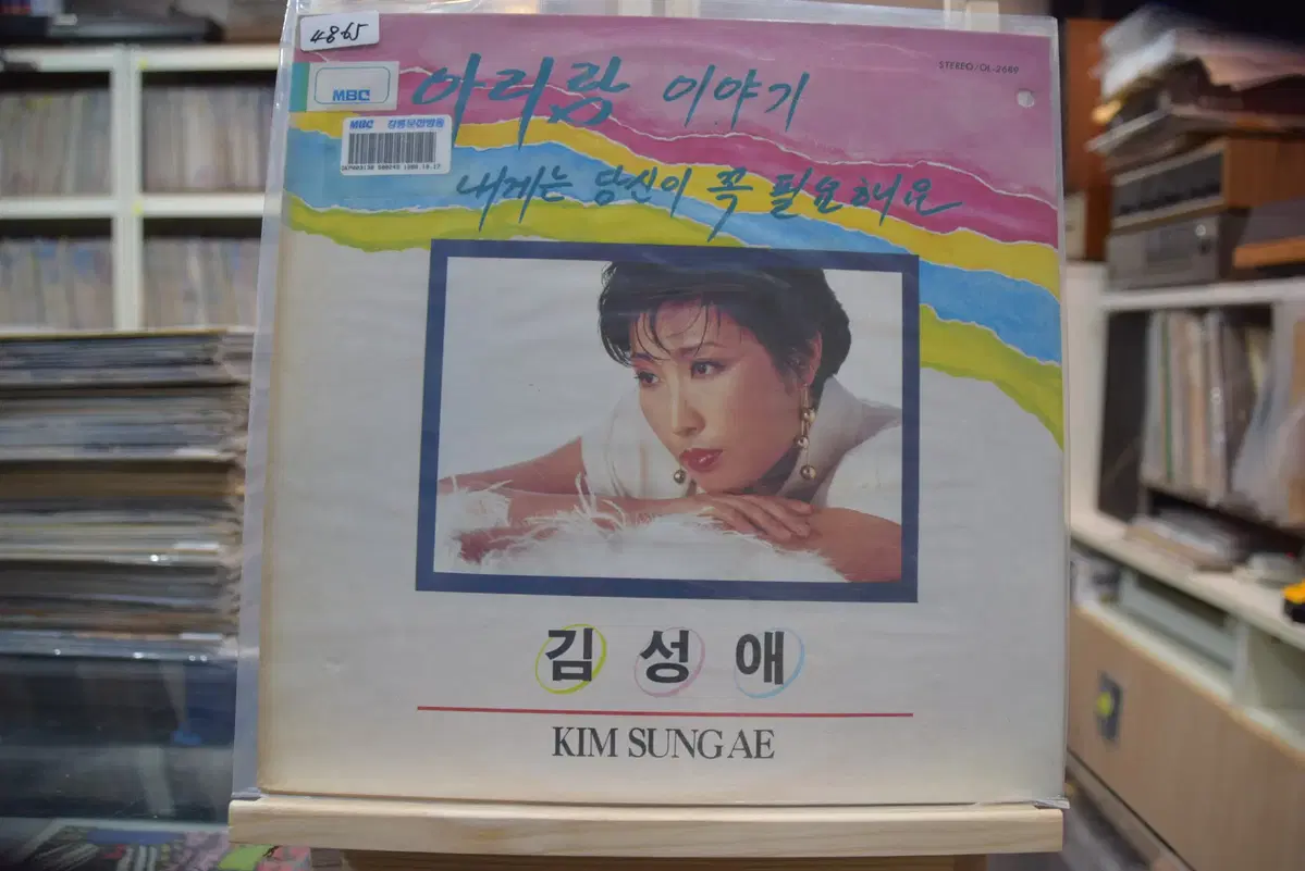 김성애 민트 : 아리랑이야기