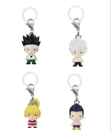 HUNTER x HUNTER 헌터헌터 메지루시 액세서리 G.I.편