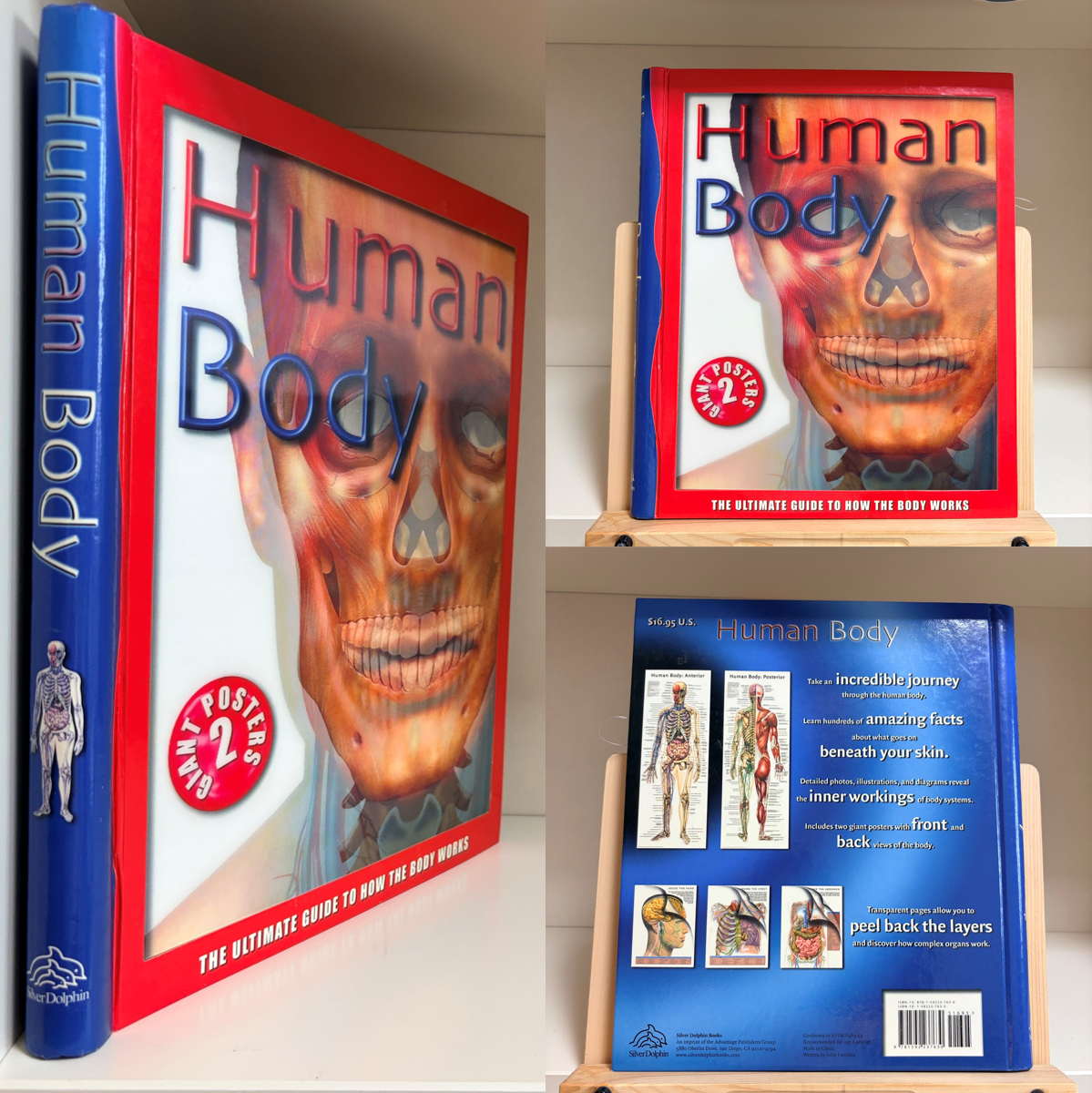 [해외디자인도서] Human Body 표지3D 56p 빅 포스터 2장(미사용)
