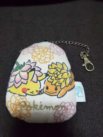 포켓몬 ITS'DEMO 이츠데모 패스 케이스