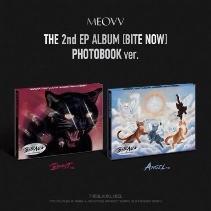 미야오 BITE NOW 미개봉 앨범 양도 현물
