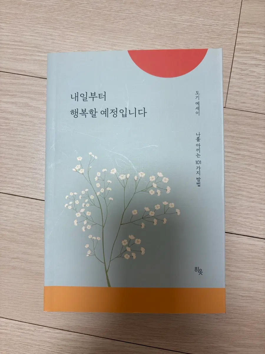 내일부터 행복할 예정입니다