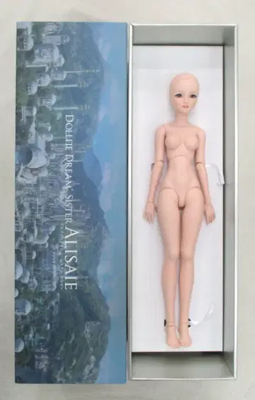 보크스 DDS 파이널 판타지 XIV 알리제