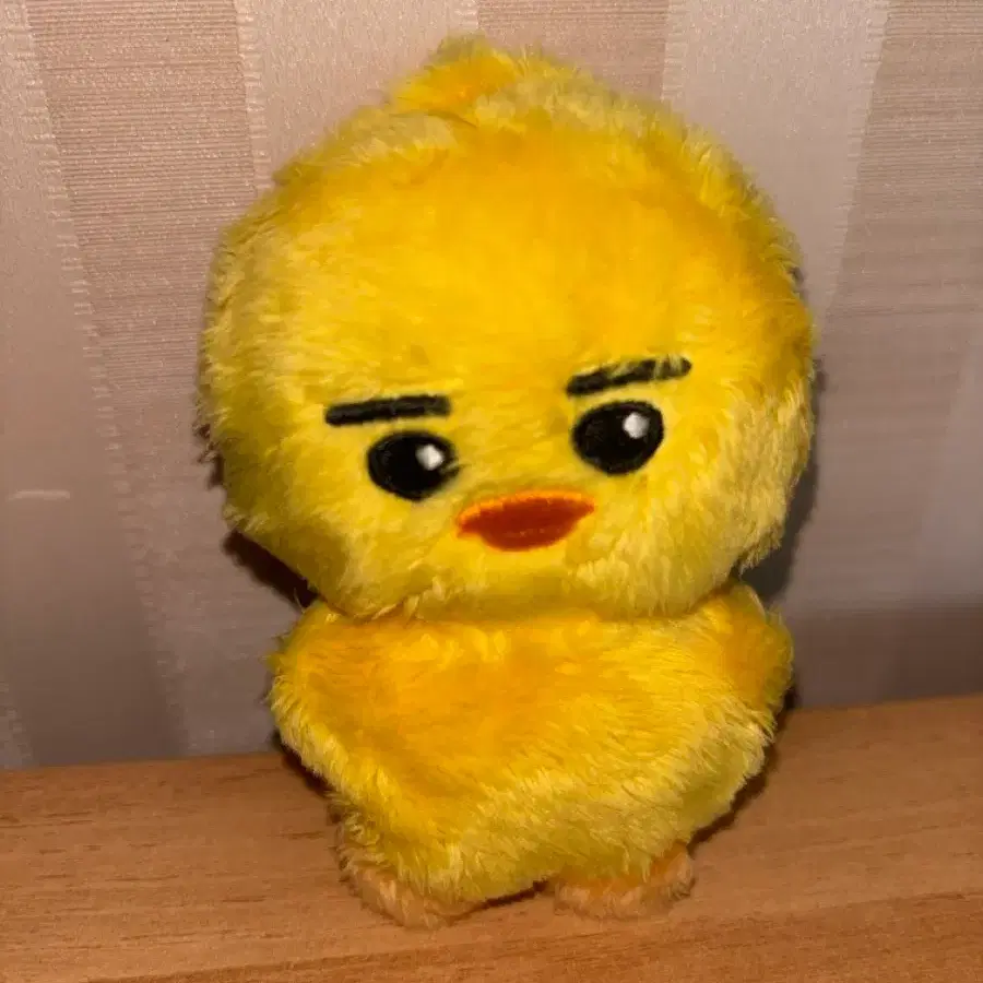 엔하이픈 니키 일본뺙