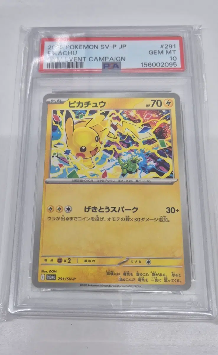 포켓몬카드 피카츄 짐프로모 psa10
