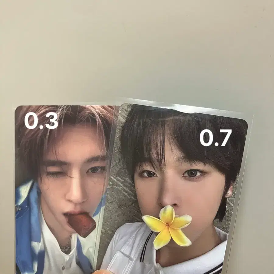 엔시티 위시 포카 팝팝시온 서프리쿠