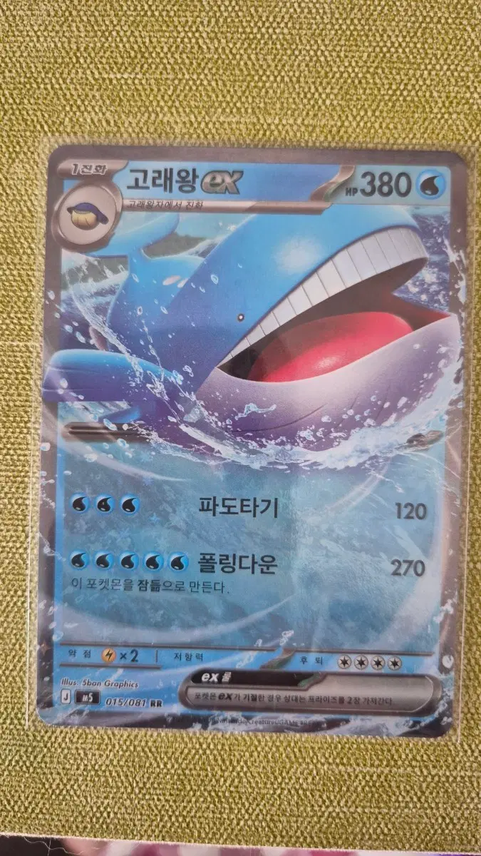 [포켓몬카드 한판] 고래왕 EX 015/081 RR