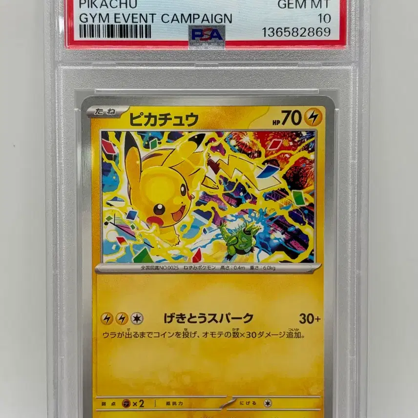 포켓몬카드 일판 psa10 피카츄 짐프로모