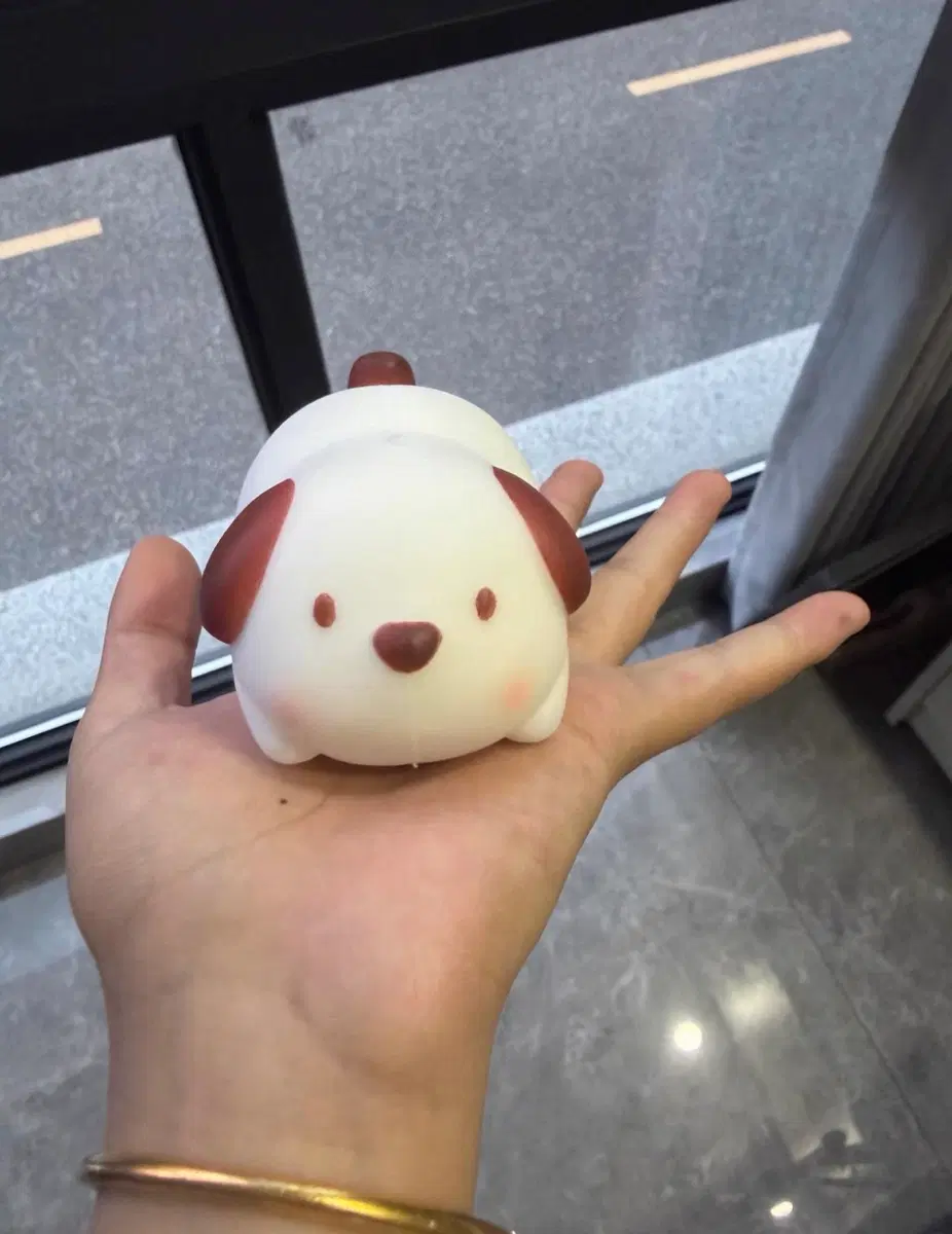 강아지 크런치 슬랑이 새상품