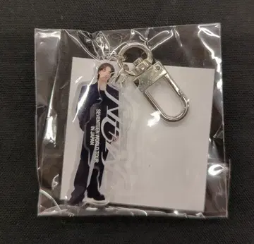 SEVENTEEN 2025 NEW_ IN JAPAN DINO ACRYLIC KEYRING