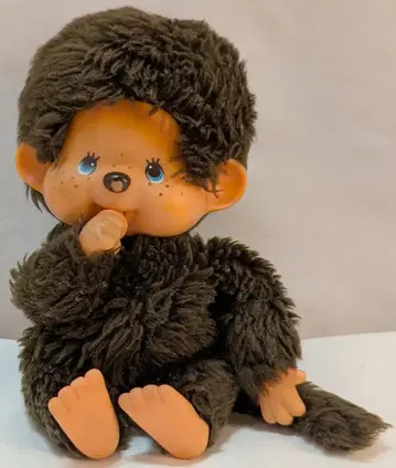 세키구치 몽치치 남아 약 18cm