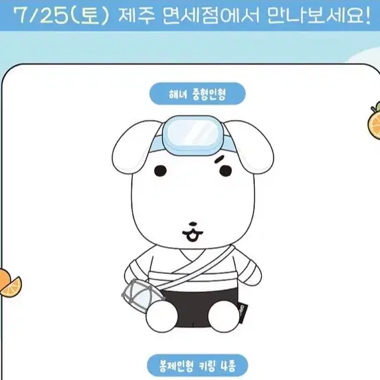 제주 가나디 구해요