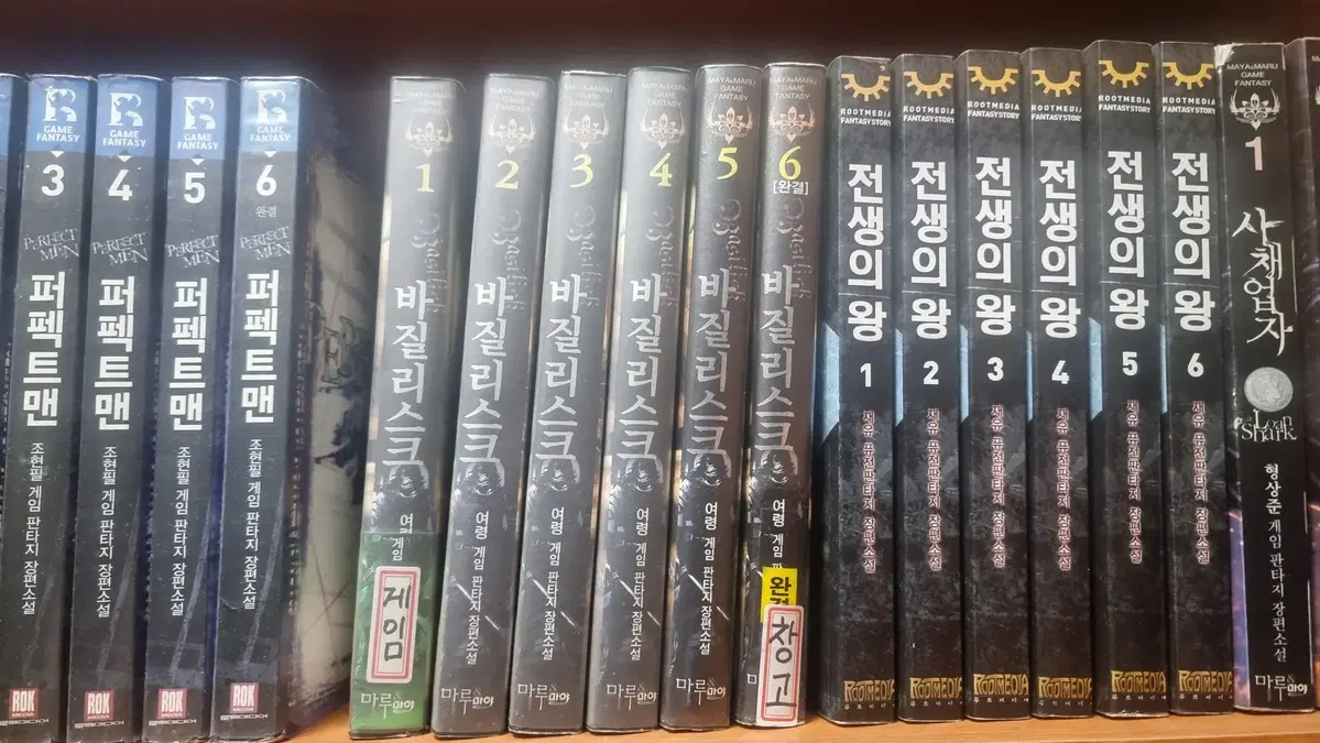 바질리스크 1-6 완 여령 게임판타지 소설